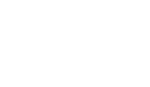 Logo SNJV